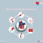 Blood Tests for Heart Function