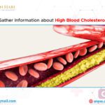 Gather Information about High Blood Cholesterol