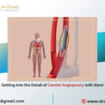 Getting into the Detail of Carotid Angioplasty with Stent