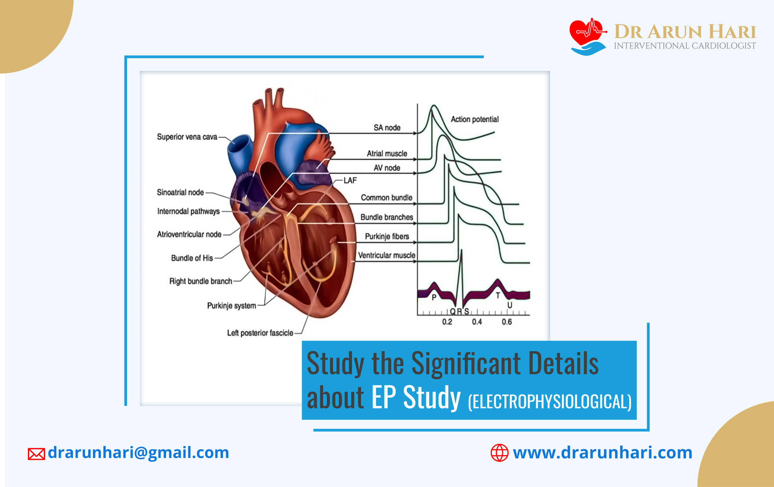 Read more about the article Study the Significant Details about EP Study
