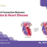 क्या मधुमेह और हृदय रोग के बीच कोई संबंध है?