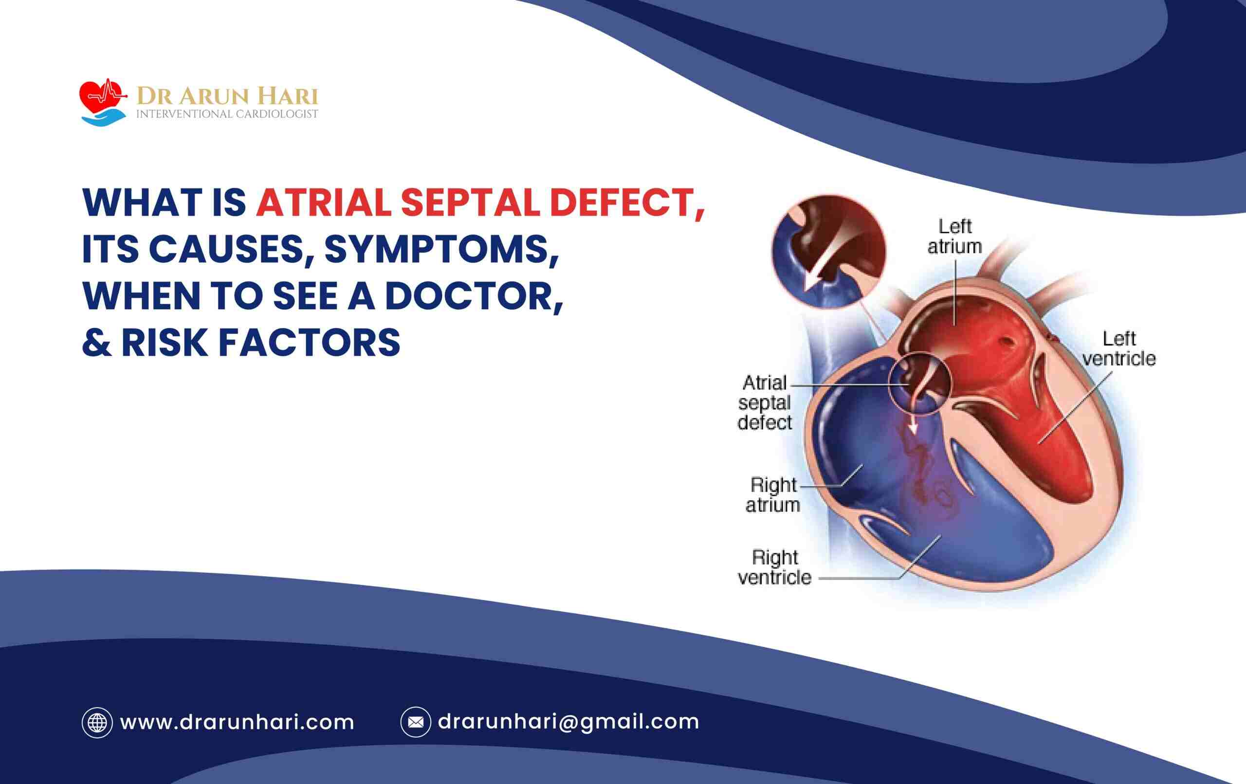 You are currently viewing Atrial Septal Defect: Causes, Symptoms, When To See a Doctor, & Risks