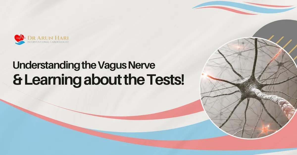 You are currently viewing Understanding the Vagus Nerve & Learning about the Tests!