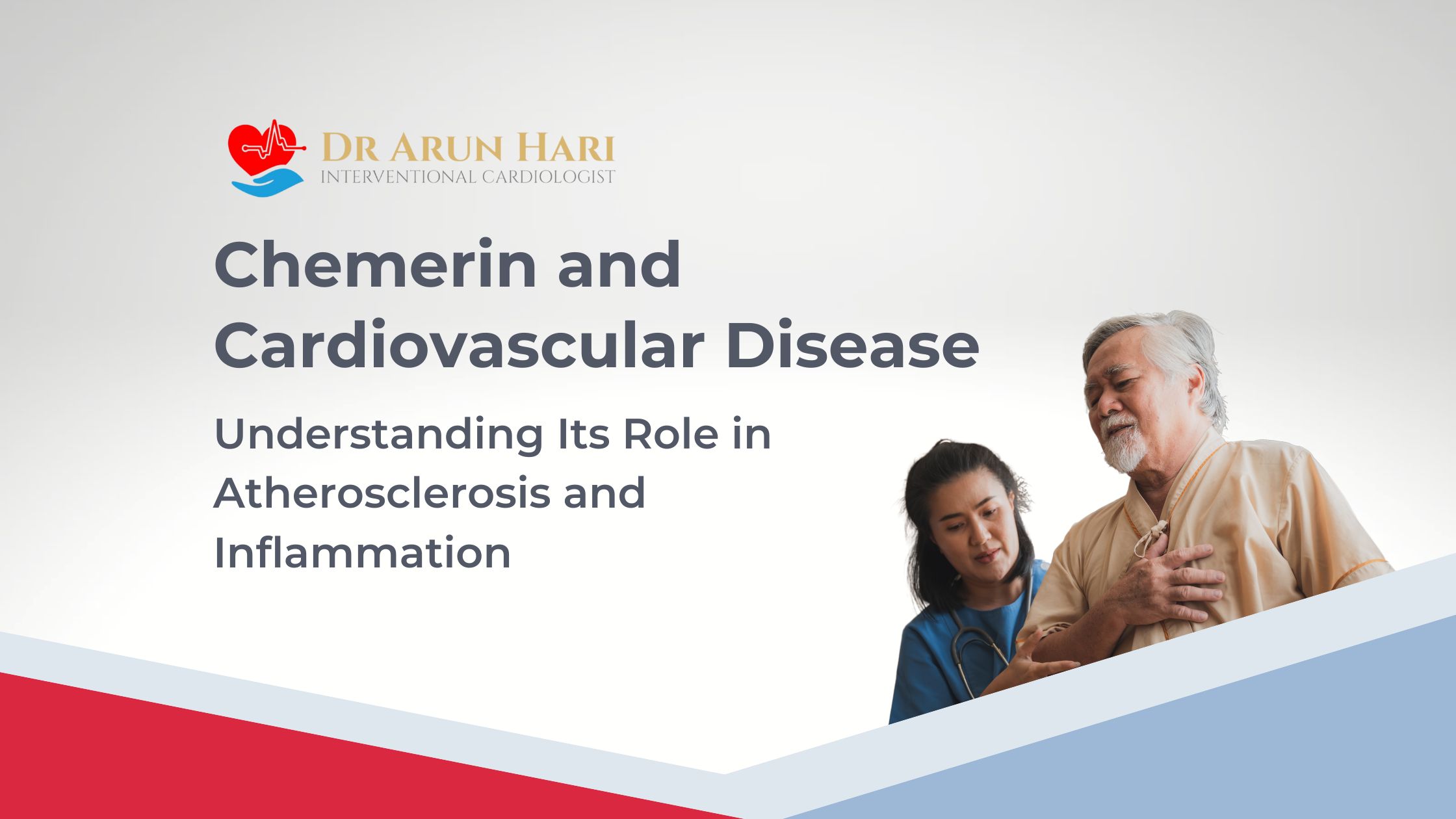 Read more about the article Chemerin and Cardiovascular Disease: Understanding Its Role in Atherosclerosis and Inflammation